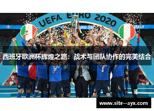 西班牙欧洲杯辉煌之路：战术与团队协作的完美结合