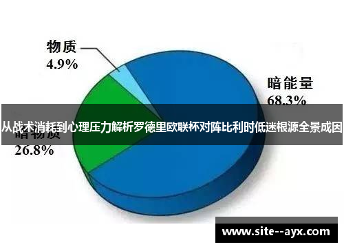 从战术消耗到心理压力解析罗德里欧联杯对阵比利时低迷根源全景成因