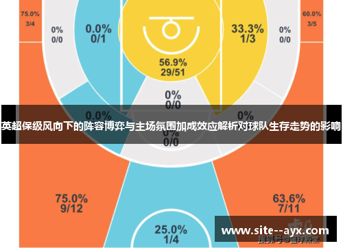 英超保级风向下的阵容博弈与主场氛围加成效应解析对球队生存走势的影响