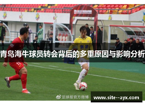 青岛海牛球员转会背后的多重原因与影响分析