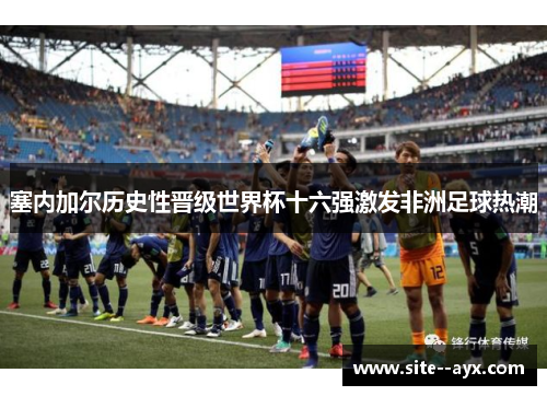 塞内加尔历史性晋级世界杯十六强激发非洲足球热潮 塞内加尔历史性晋级世界杯十六强激发非洲足球热潮