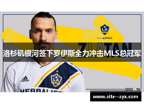 洛杉矶银河签下罗伊斯全力冲击MLS总冠军 洛杉矶银河签下罗伊斯全力冲击MLS总冠军