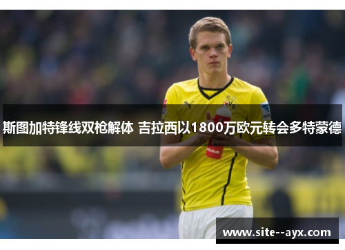 斯图加特锋线双枪解体 吉拉西以1800万欧元转会多特蒙德