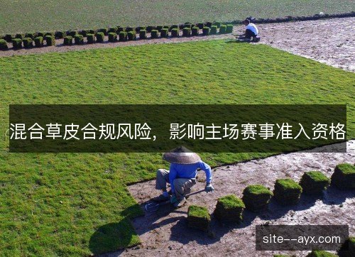 混合草皮合规风险,影响主场赛事准入资格 混合草皮合规风险,影响主场赛事准入资格