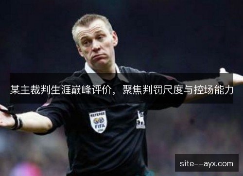某主裁判生涯巅峰评价，聚焦判罚尺度与控场能力