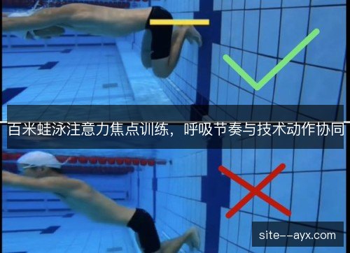 百米蛙泳注意力焦点训练，呼吸节奏与技术动作协同